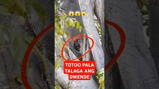 Download lagu Real Dwende 😱.                    #dwende #shorts #reels #ytshorts mp3