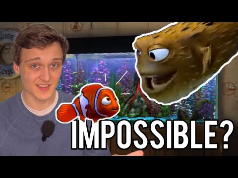 Is Nemo’s Fish Tank Even Possible?