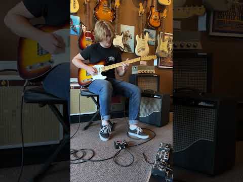 Silktone Fuzz image 9