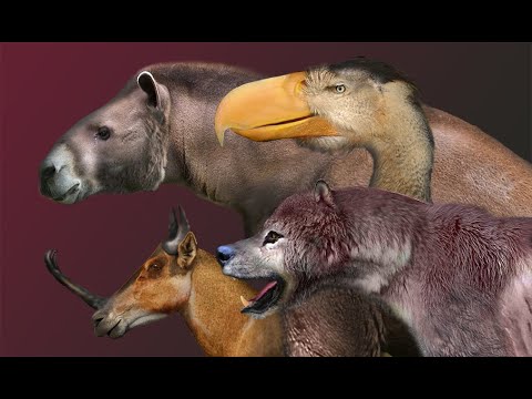 MIOCENE MEGAFAUNA. Size Comparison / MEGAFAUNA DEL MIOCENO. Comparación de Tamaños