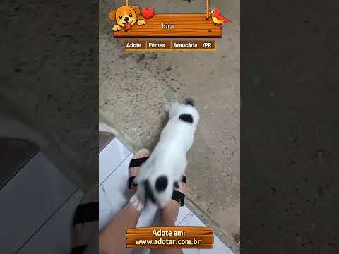 Vídeo de kira