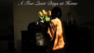 穏やかな日常のひとこま | バルセロナの生活 | Vlog