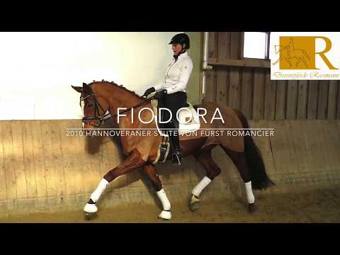SOLD! Dressurpferd - 2010 Hannoveraner Stute von Fürst Romancier, Stm. ca. 1.70, L-Dressur - Fiodora