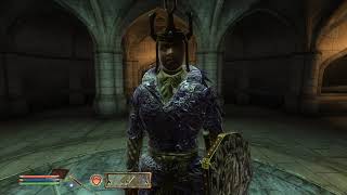 Let's Play Oblivion Part 95: Stockpiles Open, Problem Solved.