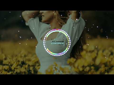 AUCCO - Dj Play The Music | Dj Wanshan ft Kirk 🎶 (Siren Jam Remix)