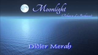 Moonlight (Tribute to L.v.Beethoven) - Improv Sketch 2013.02.09 - Didier Merah