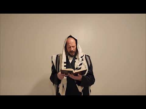 Maariv Friday Night 2 from vayechulu until the end nusach