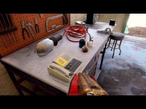 Make Montana great again