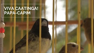 Miniatura do vídeo