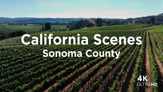 Aerial Views of Sonoma County, California | Relaxing 4K Drone Video