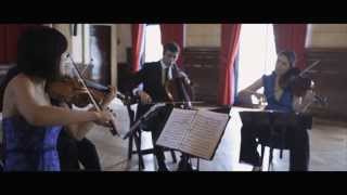 Verdi String Quartet in E minor: II. Andantino performed by the Enso String Quartet