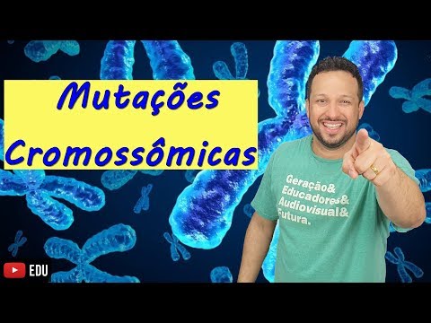 Chromosomal Mutations - Chromosomes - Biology with Sharks