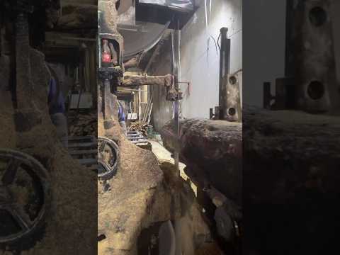 Working to get married - sawing timber