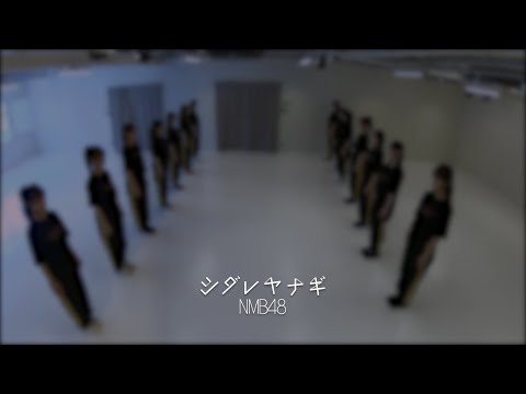 しだれ柳、垂れ柳 植物