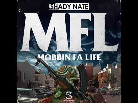 Shady Nate - Push My Buttons feat  Husalah & J  Stalin