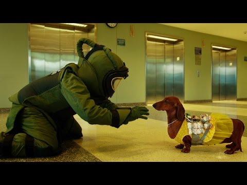 映画『トッド・ソロンズの子犬物語』予告編