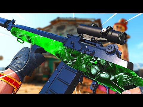 the 2 SHOT "DMR 14" CLASS in COLD WAR! (BEST DMR SETUP!)