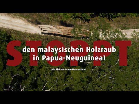 Stoppt den Holzraub in Papua-Neuguinea!
