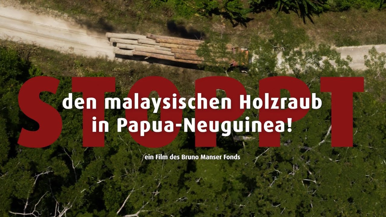 Stoppt den Holzraub in Papua-Neuguinea!