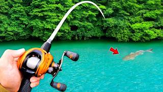 I Went Fishing for Whatever Bites! (4 Species)