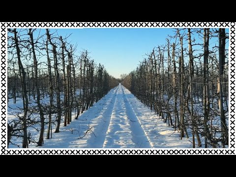 Kamil Pivot - Inacy (luty) [prod. Urb]