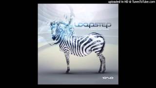 Loopstep - LFO Memory ALBUM -CODED PATTERNS