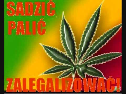 Enda & Foksio - Minimalny Mach