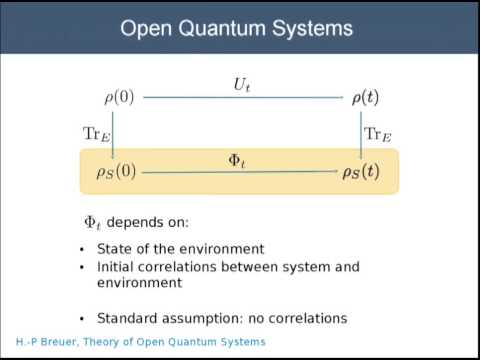Hartmut Haeffner, "Decoherence and quantum correlations in ion traps"