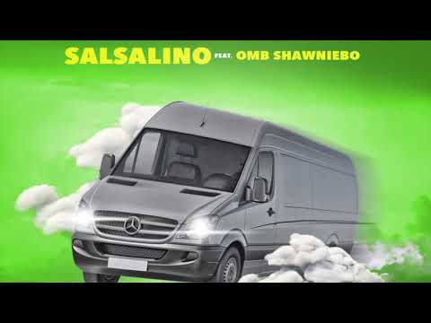 Salsalino Sprintervan ft OMBShawniebo (Prod.Mikediggem)