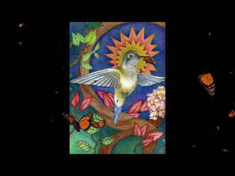 P. Alfredo - Conforto