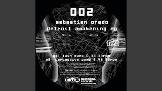Twin Punk (Original Mix)