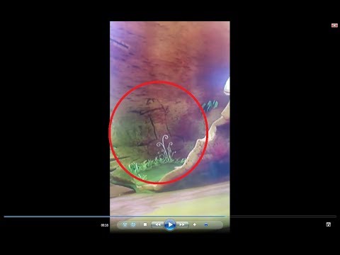 Darmowe ćwiczenia, aby powiększyć penisa Ze względu na to, co jest mały penis