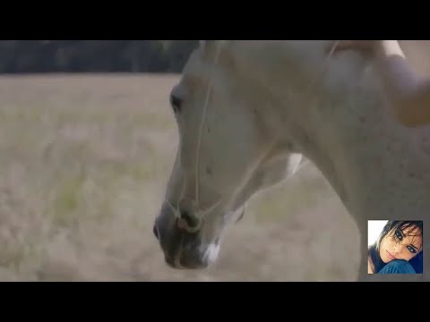 Alex Ender ~ Right Back ( Extended Mix)