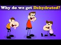 Why Do We Get Dehydrated More Videos Aumsum Kids Science Education Children