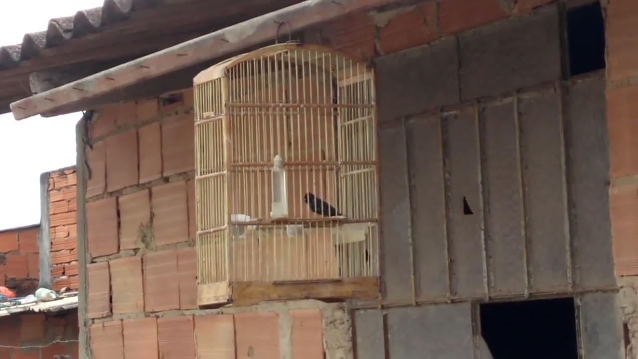 essa mexida é muito boa