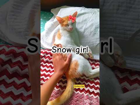 එයාගෙ සෙල්ලම 😘🐈❤️❄️My playful cat girl #catlovers #pets #snowman #fypシ #catvideos #funnyanimals
