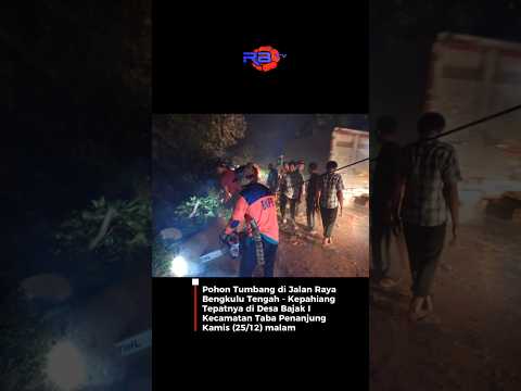 Pohon Tumbang di Jalan Raya Bengkulu Tengah-Kepahiang