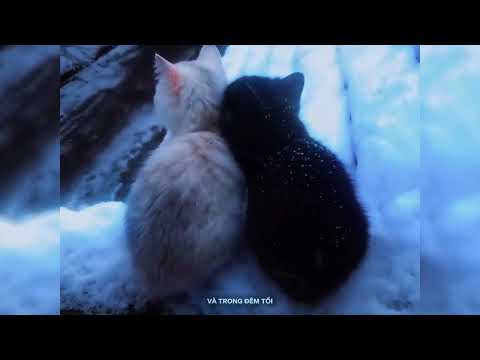 Bry 'Giả vờ như anh không biết' W/ Dewie @dewie_sayhiii