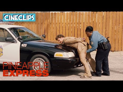 Dale Gets Arrested | Pineapple Express | CineStream