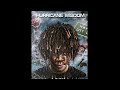 Hurricane Wisdom Broken UNRELEASED