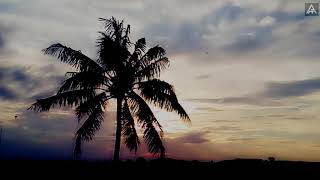 Download lagu Story WA || Inginku Miliki - Ruth Sahanaya (Cover) mp3