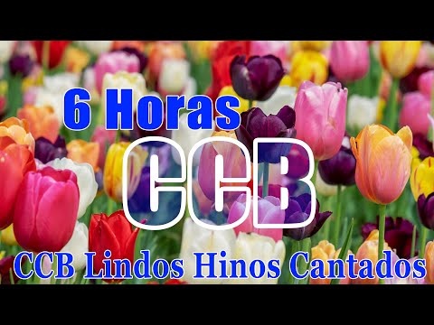 6 Horas CCB Lindos Hinos Cantados - A Música Vai Para O Coração Do CCB