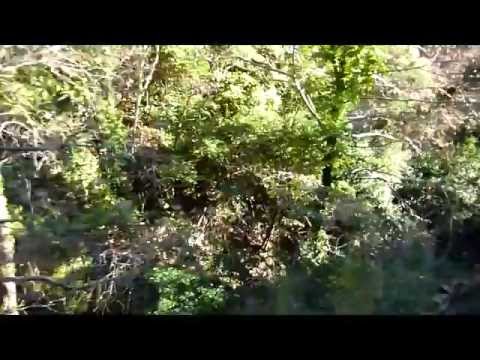 Diakopto to Kalavryta on a cogwheel train