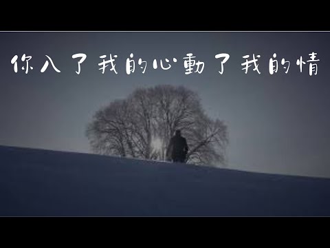 你入了我的心動了我的情（男調）。原唱：田娥。Cover by 曾皆榮