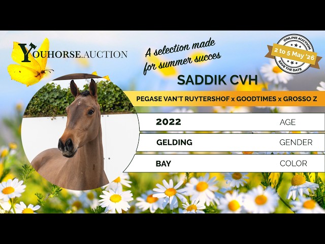 Saddik