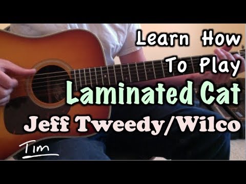 Jeff Tweedy Wilco Laminated Cat Guitar Lesson, Chords, Tutorial