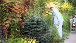 Take Time To Smell The Roses accompanied by Miles Davis "Tasty Pudding"