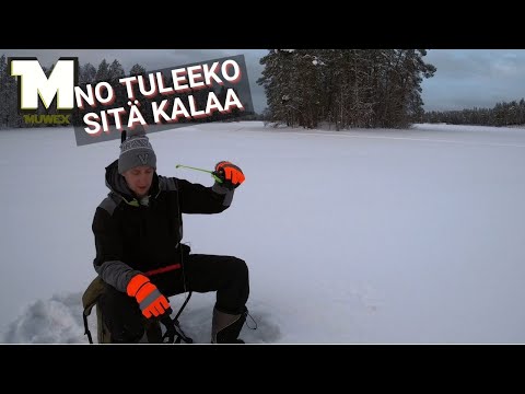 NO TULEEKO KALAA - Pilkillä Orisbergin järvellä kotilammilla