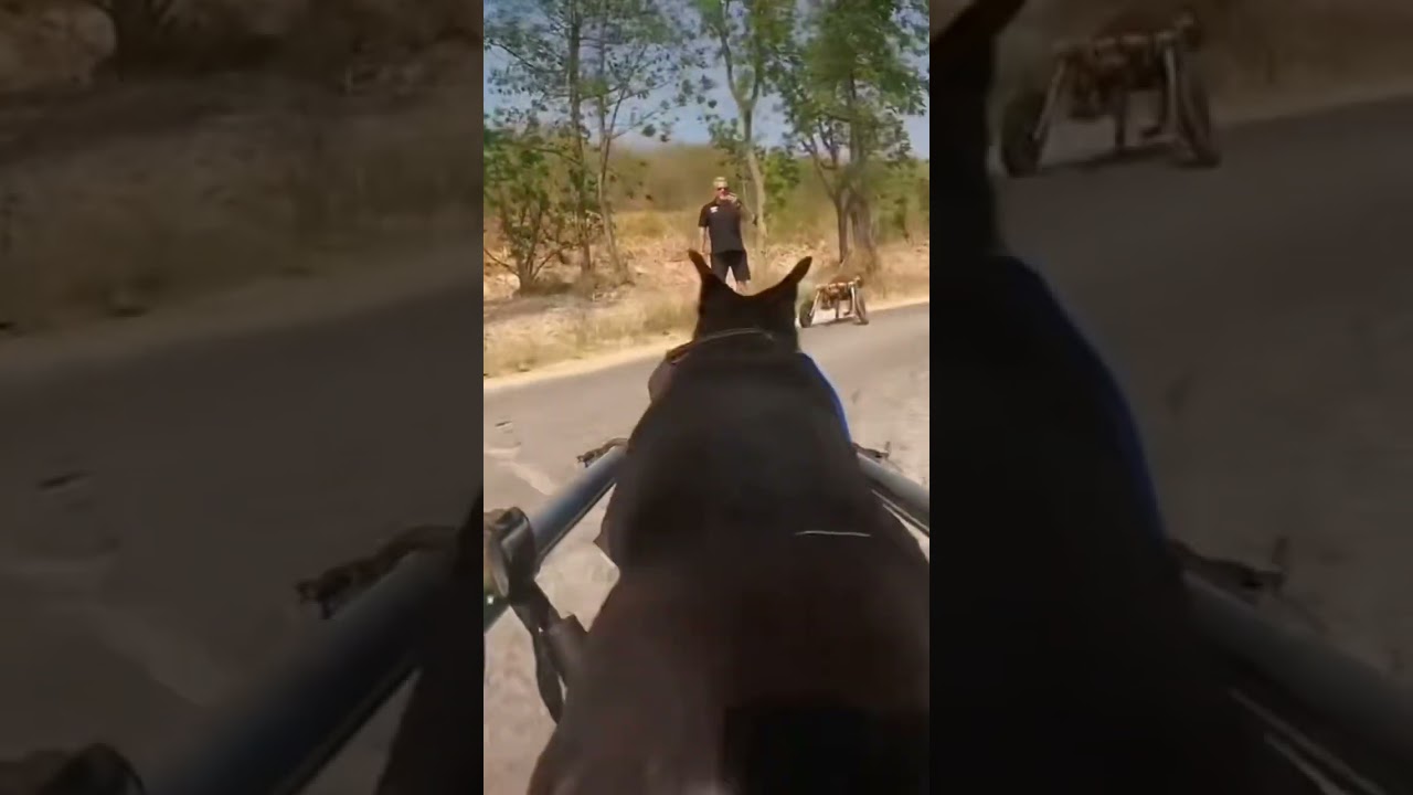 YouTube video preview