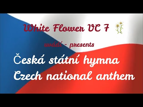 White Flower VC 7 - Kde domov můj